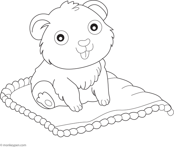 printable baby guinea pig coloring image for children