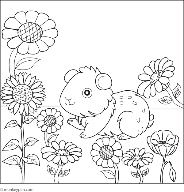 free printable guinea pig in a garden coloring sheet for kids