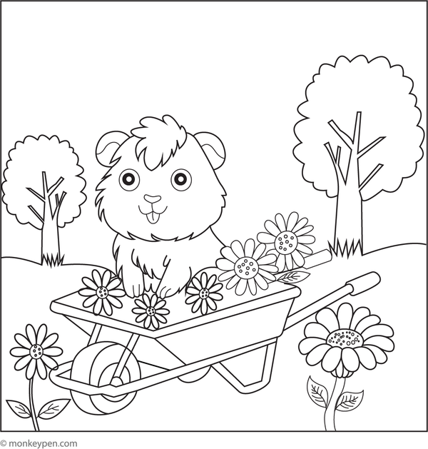 free printable guinea pig in a wheelbarrow coloring picture for children