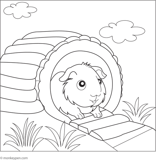 Free Printable guinea pig exploring a burrow coloring picture for children