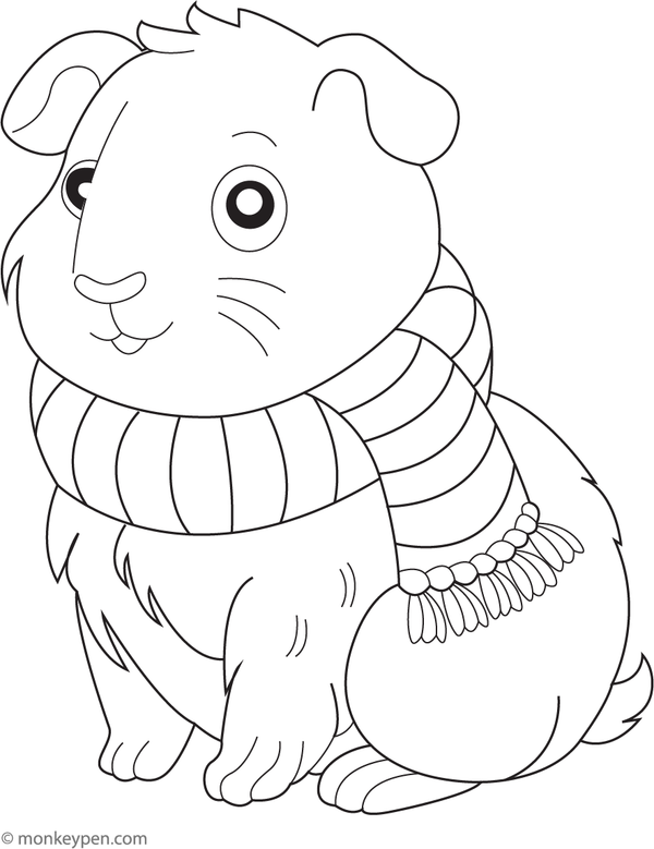 Printable guinea pig with a scarf coloring sheet for kids