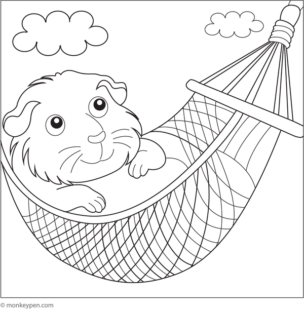 Printable guinea pig in a hammock coloring sheet for children