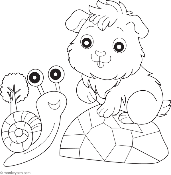 Printable guinea pig and a snail friend coloring sheet for kids