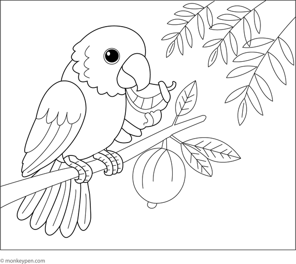 Coloring page of a cheerful parrot surrounded by tropical fruits like bananas and pineapples, a deliciously fun theme for kids.