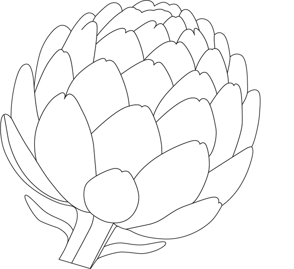 Artichoke coloring page – fun and educational printable for children