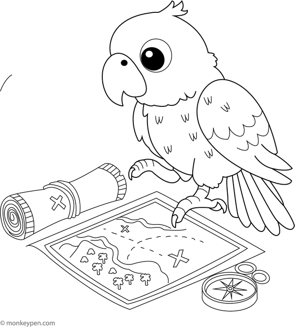 Fun adventure-themed colouring page of a parrot studying a treasure map, perfect for curious little explorers.