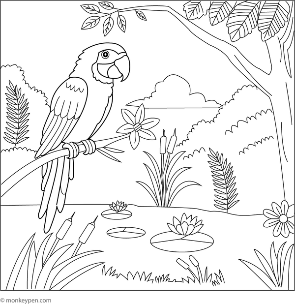 Colouring sheet featuring a parrot near a jungle pond with lily pads and frogs, a peaceful nature-themed activity.