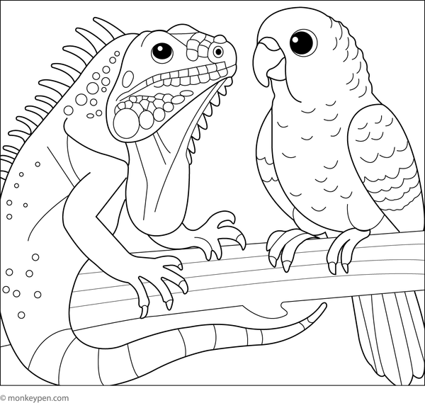 Colour this fun free printable of an iguana sharing a branch with a colourful parrot, a lively and engaging scene for kids to enjoy.