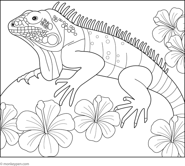 Iguana enjoying bright jungle flowers in a leafy garden for colouring fun.