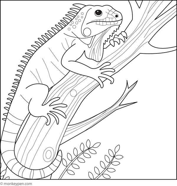 Iguana climbing up a tall tree trunk with branches and leaves to colour.