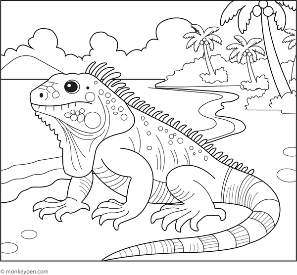 Iguana walking along a sandy beach with seashells and waves for colouring