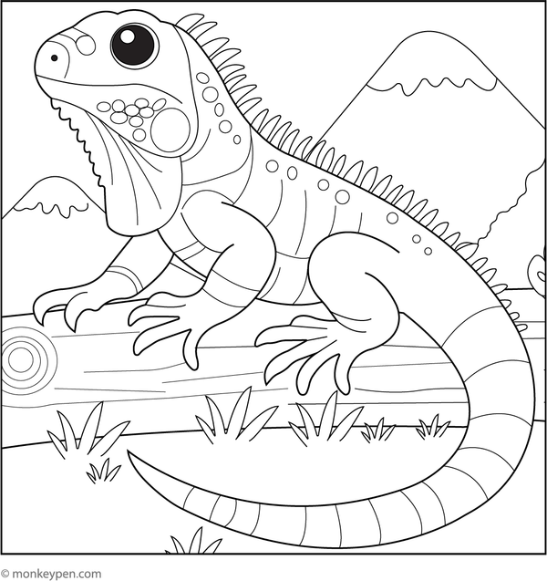 Iguana resting on a log in a forest scene, ready for children to colour