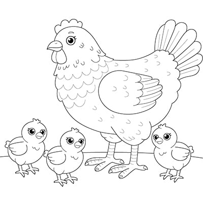 Birds Coloring Book – Download PDF