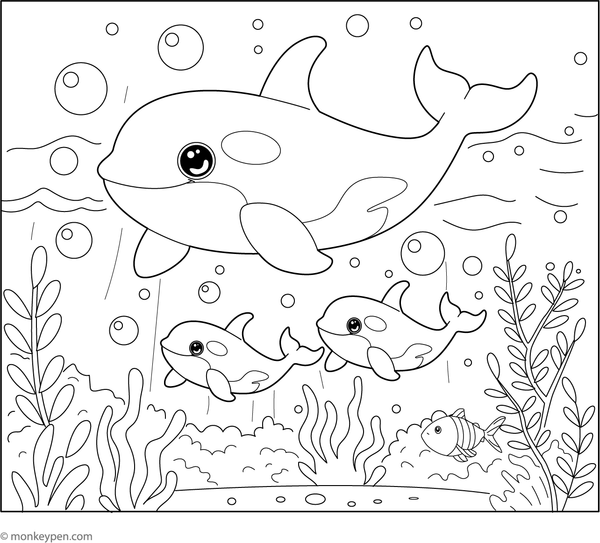Family of killer whales coloring sheet, provided free of charge for children's coloring activities.