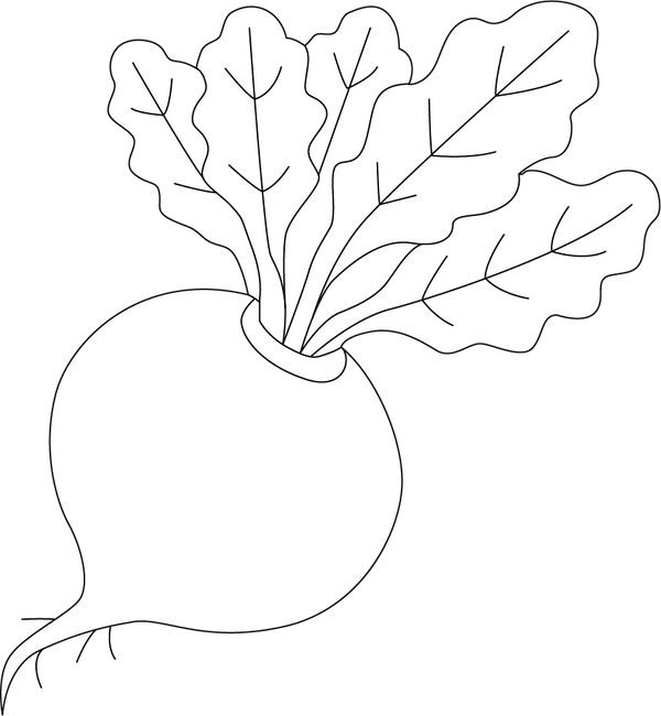 Turnip Coloring Image Coloring Page – fun and educational printable for children