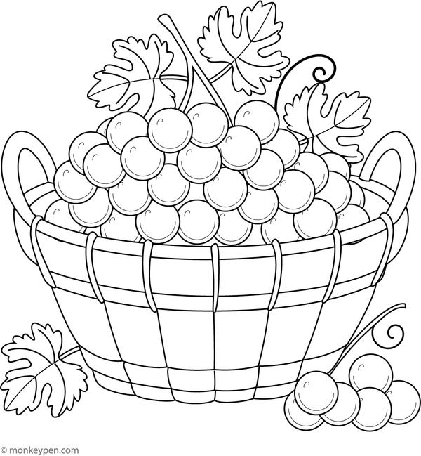 Coloring page of grapes in a woven basket, suitable for children