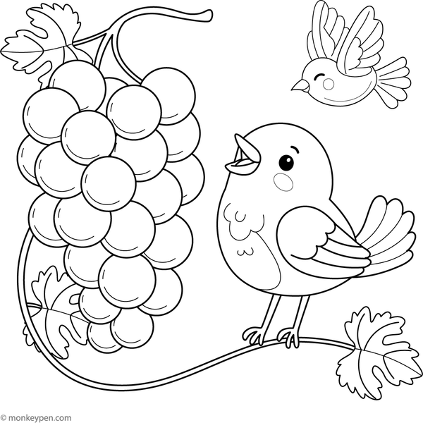 Scene of grapes with a chirping bird for children to color