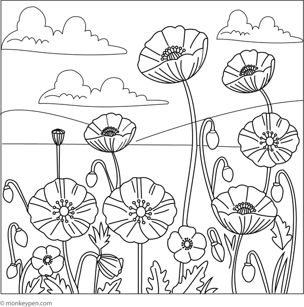 Colouring page of a blooming poppy field, perfect for children to explore colours and nature.