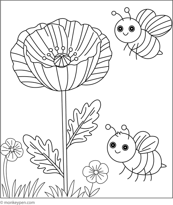 Poppy flower with a friendly bee colouring page, great for kids to colour flowers and garden insects.