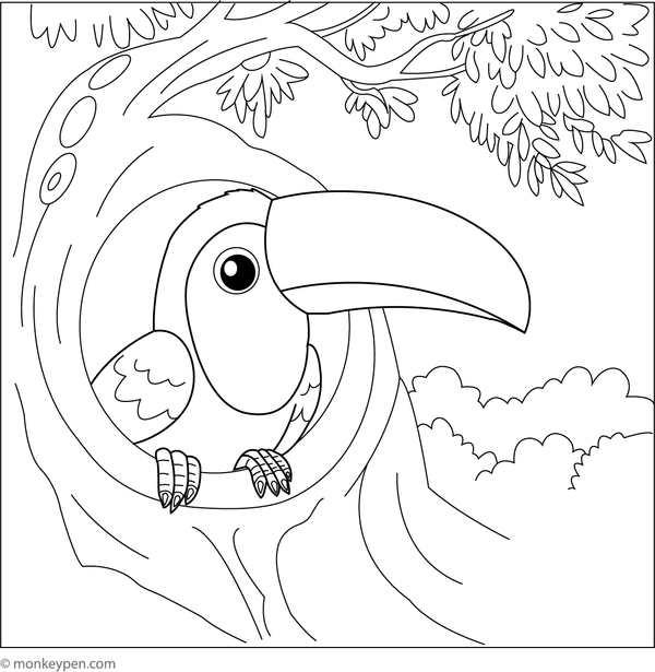 Printable coloring page featuring a toucan sitting inside a tree hollow, appropriate for educational discussions of forest habitats.