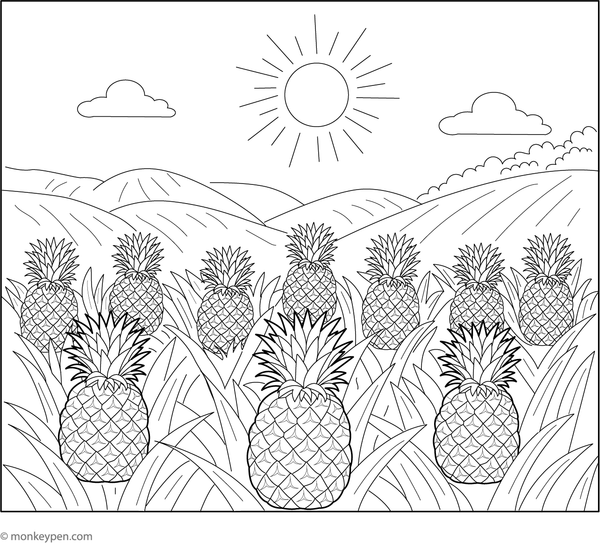 Pineapple field colouring page, free printable for children.