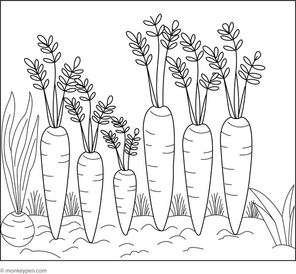 Children's coloring page of a carrot growing in a garden patch, perfect for children to color outdoor garden scenes and vegetables.