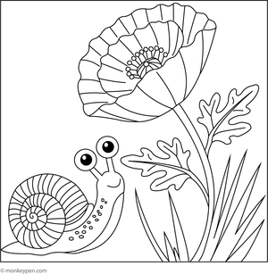 Poppy flower with a tiny snail colouring page, fun for kids to colour garden animals and flowers.