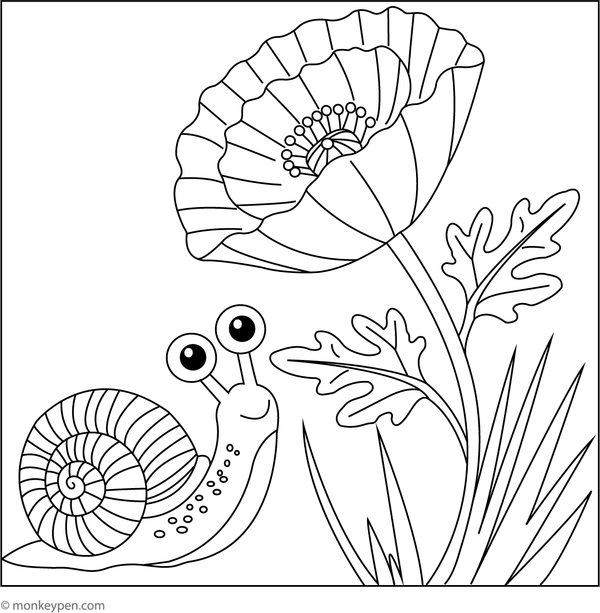 Poppy flower with a tiny snail colouring page, fun for kids to colour garden animals and flowers.