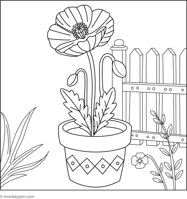 Colouring page of a potted poppy, ideal for children to colour indoor plants and bright flowers.
