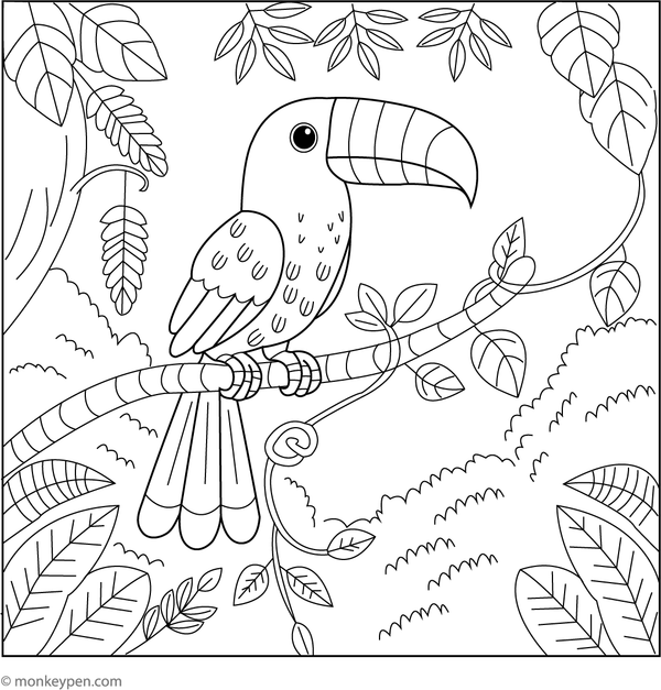 Coloring page illustrating a toucan among twisting jungle vines, suitable for exploring tropical scenery and avian life.