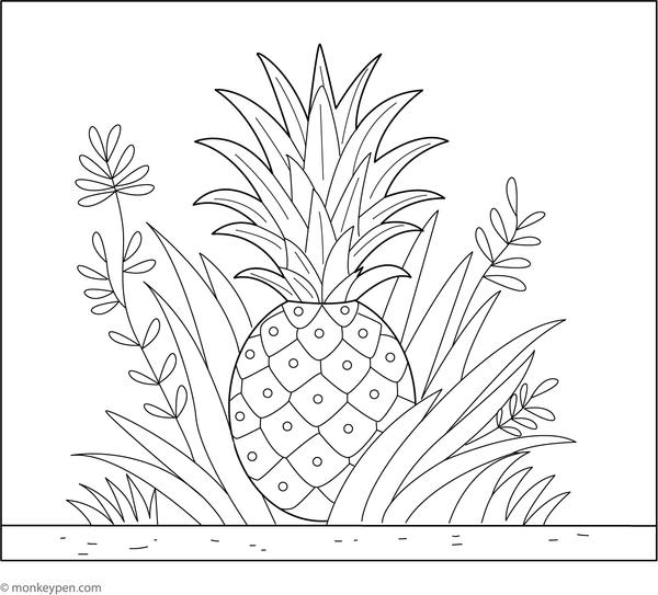 Pineapple plant with fruit colouring page, free printable for children.