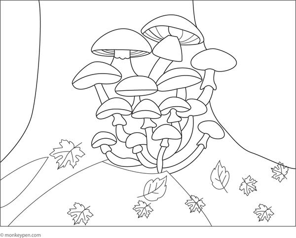Printable coloring page of mushrooms on a tree trunk for children
