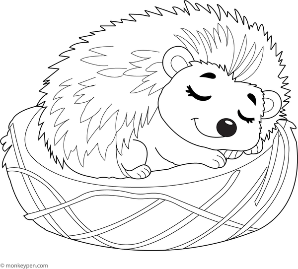 A hedgehog sleeping peacefully in a soft nest, ready for coloring