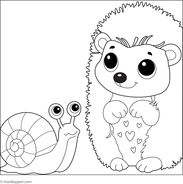A hedgehog looking with curiosity at a crawling snail nearby, suitable for children's coloring