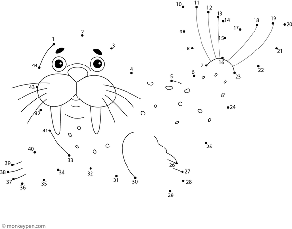 Printable dot-to-dot worksheet of a cartoon walrus with tusks for children to connect and color.