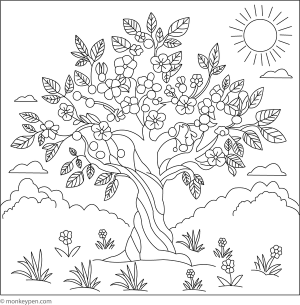 Cherry tree in bloom colouring page with blossoms and cherries for kids to colour