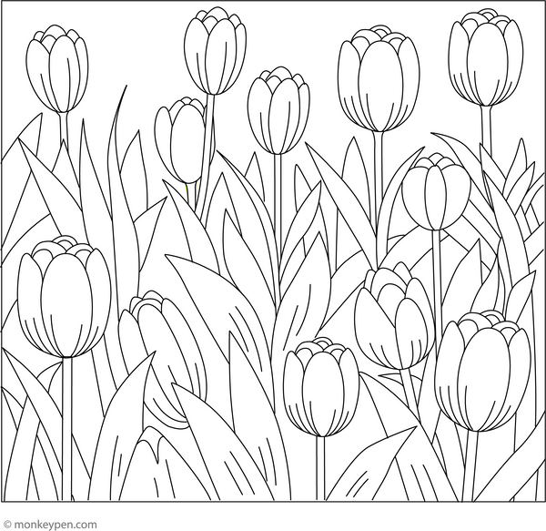 Tulip Garden Coloring Page