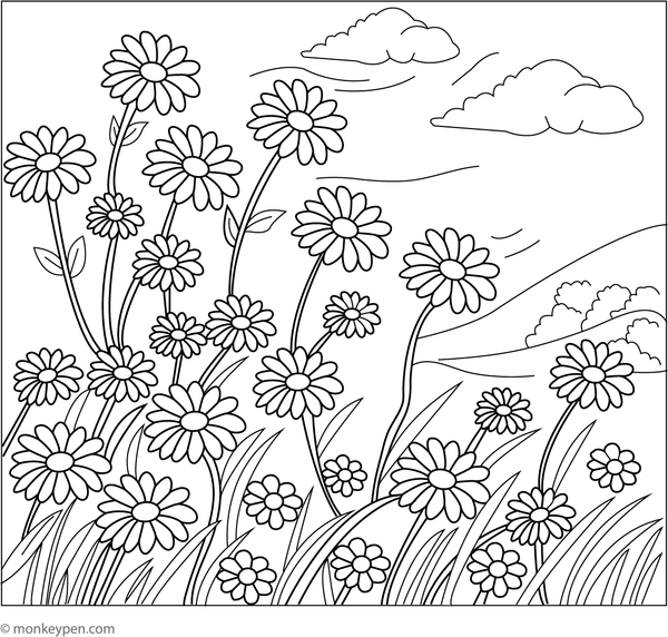 Printable colouring page of a meadow filled with daisies gently swaying in the wind, suitable for classroom use.