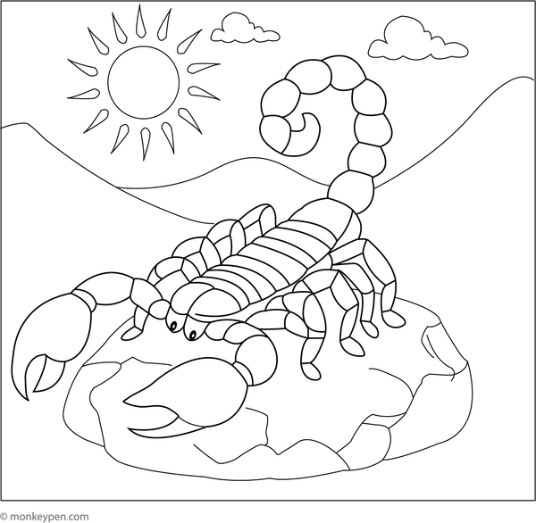 Coloring illustration of a scorpion resting on a sunlit rock beneath the desert sun, depicting a lively natural scene for children.