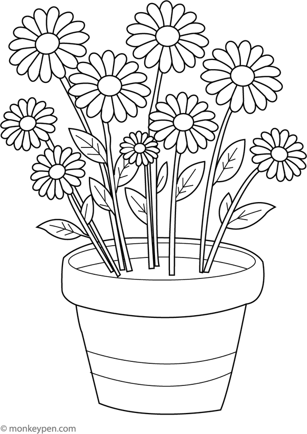 Colouring page of daisies growing in a flower pot, suitable for classroom and leisure activities.
