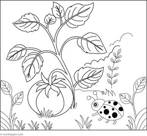Colouring sheet depicting a tomato plant with ripe fruit and a ladybug resting on a leaf, set within a playful garden scene suitable for children.