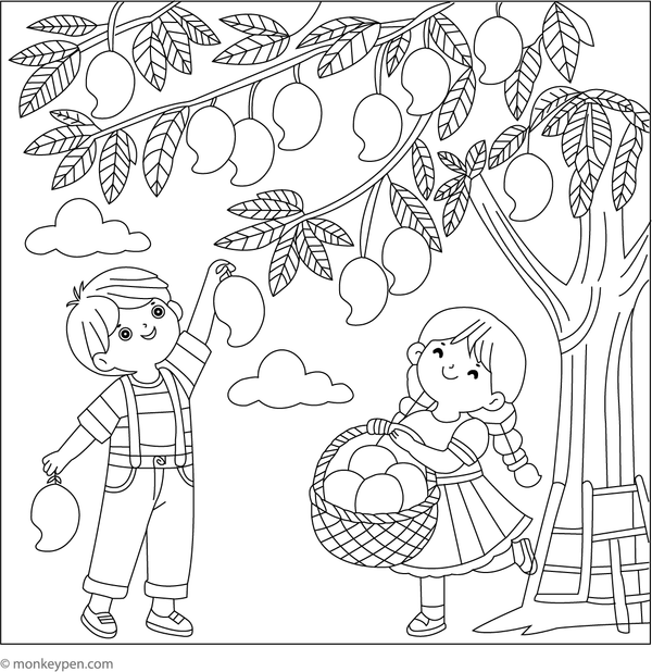 Illustration of children harvesting ripe mangoes from a tree, suitable for outdoor activity-themed coloring.