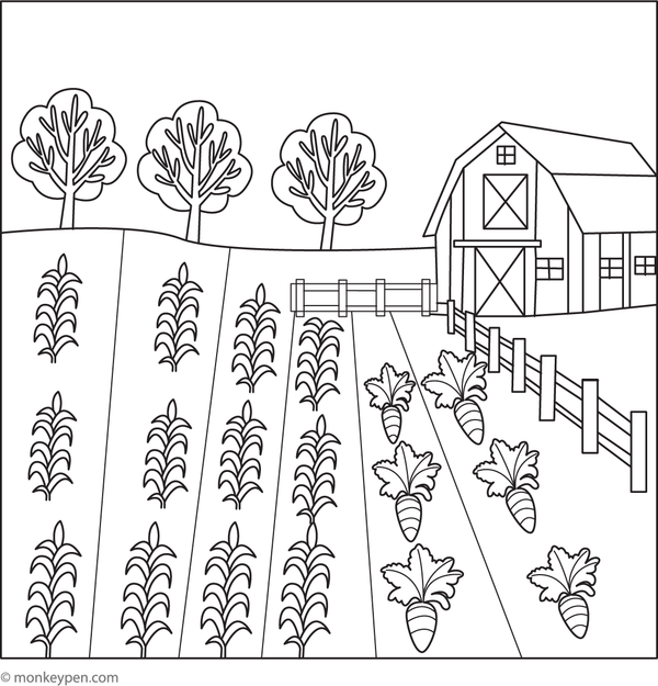 Printable farm field colouring page for children showcasing crops, fences, and rural scenery, appropriate for agricultural education and fun.