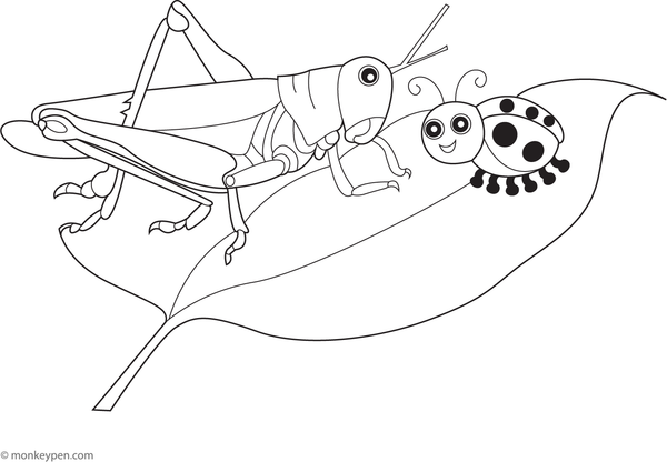 Adorable illustration of a grasshopper meeting a ladybug on a leaf, suitable for a printable coloring activity.