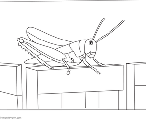 Illustration of a grasshopper perched on a wooden fence, suitable for a countryside-themed coloring activity.