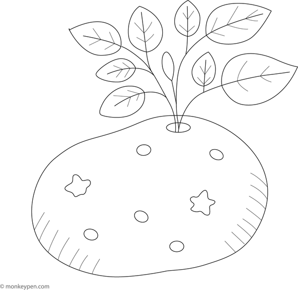 Coloring page of a potato with green sprouts growing from it, illustrating plant growth.