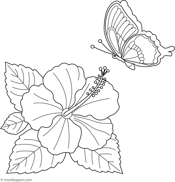 Children’s coloring page depicting a hibiscus flower with a butterfly above the petals.