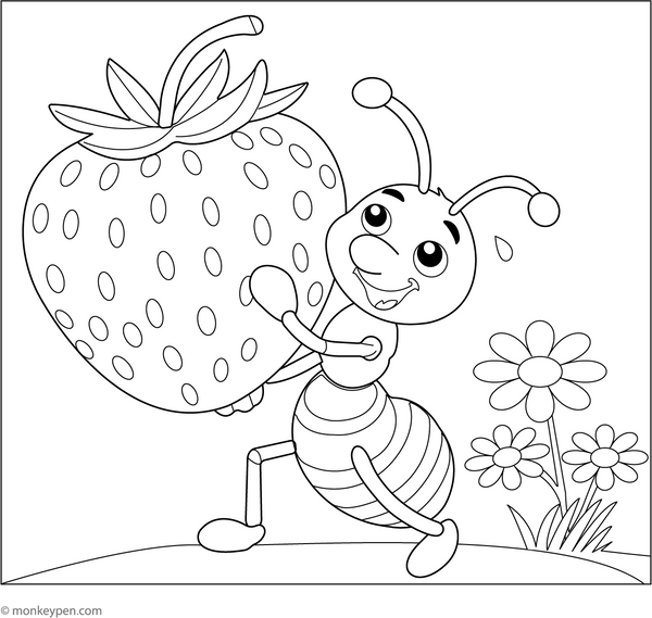 Ant Coloring Book