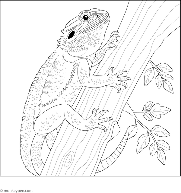Bearded Dragon Climbing Tree Coloring Page