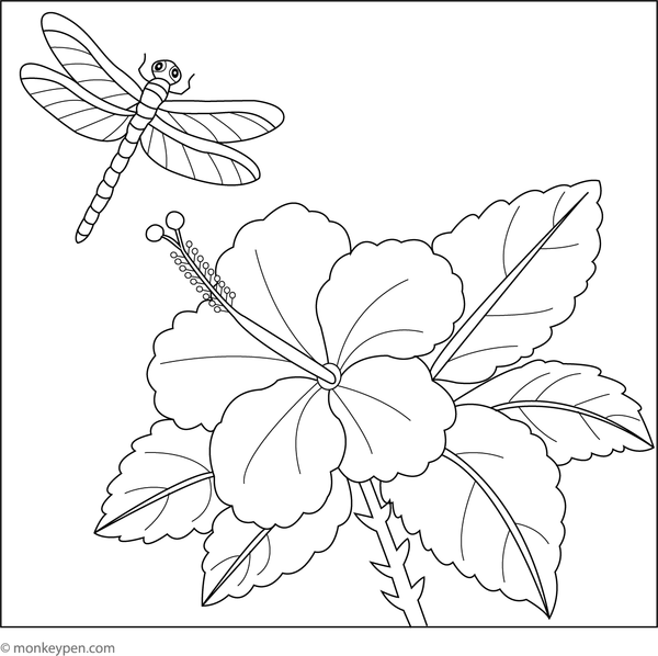 Children’s coloring page featuring a hibiscus flower with a dragonfly nearby.